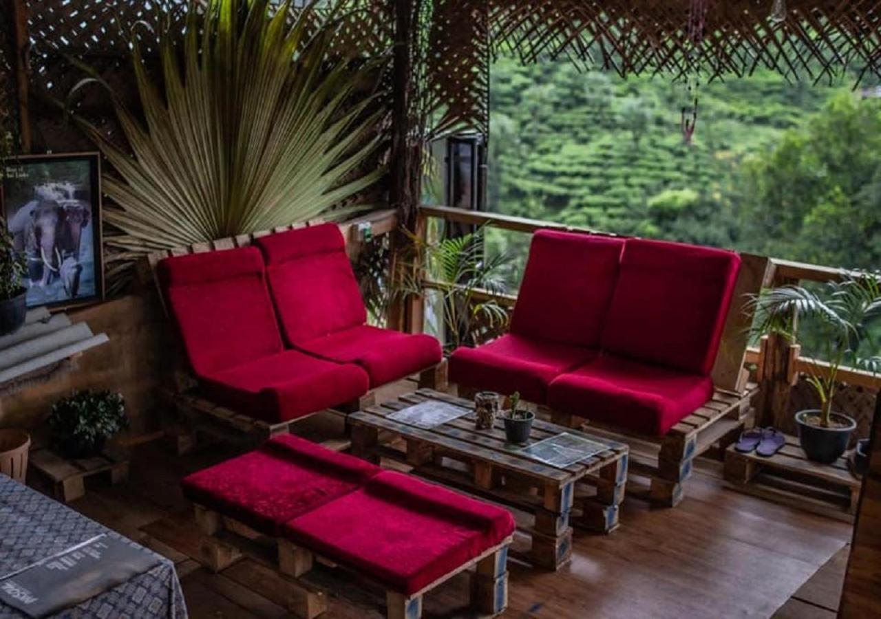 Tree House Cafe Ella Hostel Exterior photo