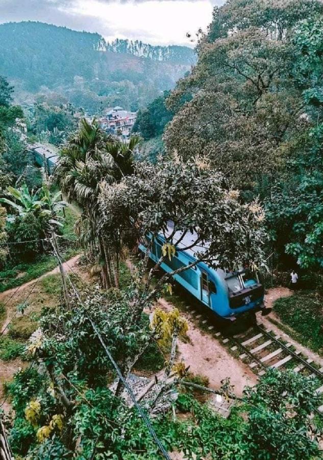 Tree House Cafe Ella Hostel Exterior photo
